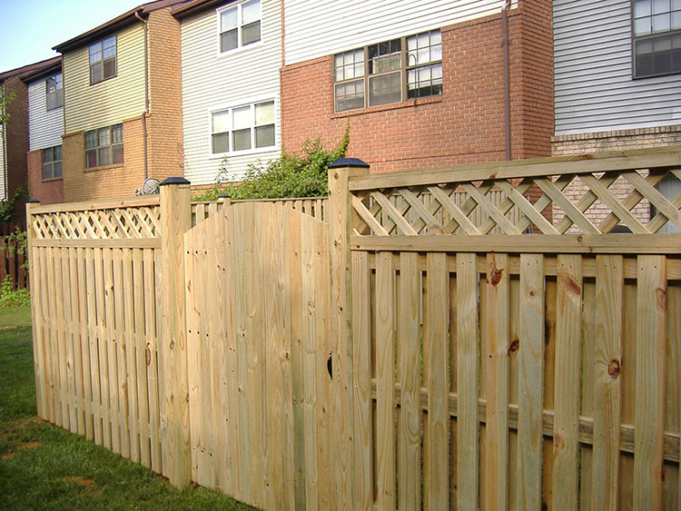 backyard wood fence