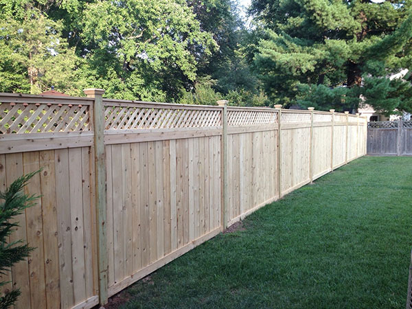 privacy fence backyard