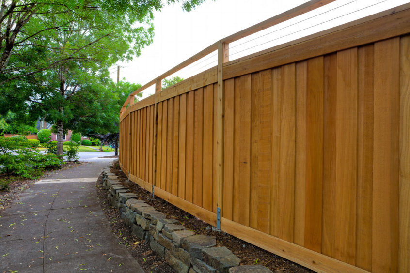 backyard privacy fence